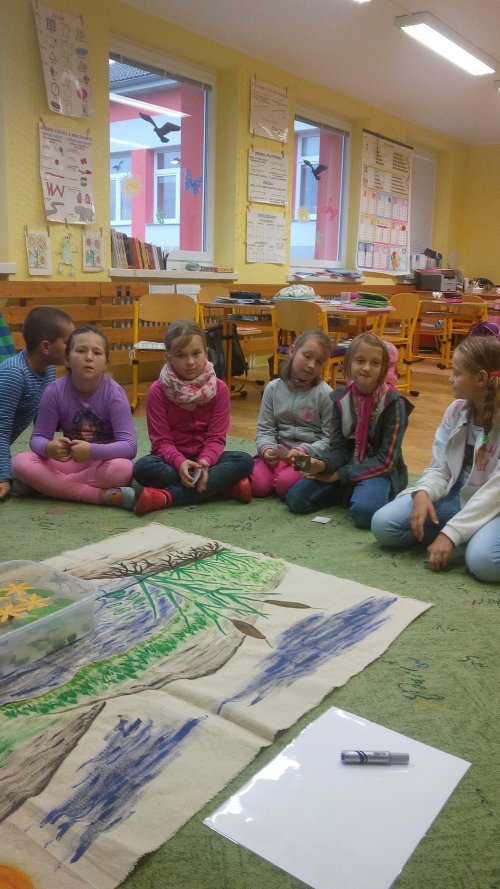 Výukový program - Trnka