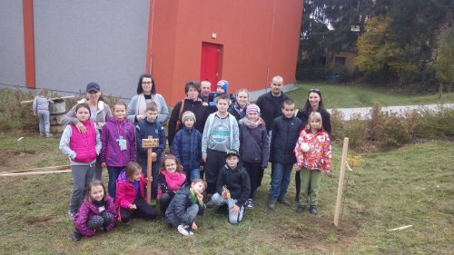 DEN STROMŮ aneb Návrat zapomenutých ovocných odrůd