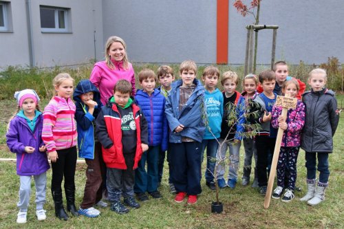 Den stromů a jablíčkový den