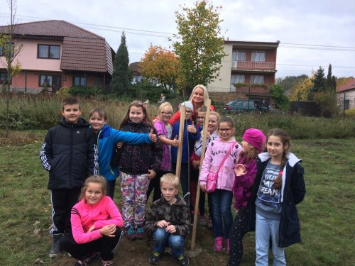 Odpolední sázení našich třešní 25. 10. 2016