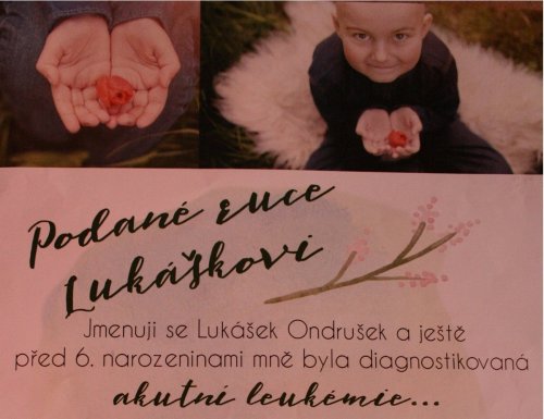 "Podané ruce Lukáškovi"