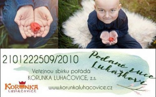 Podané ruce Lukáškovi