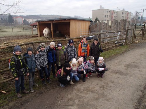 Pololetní vysvědčení