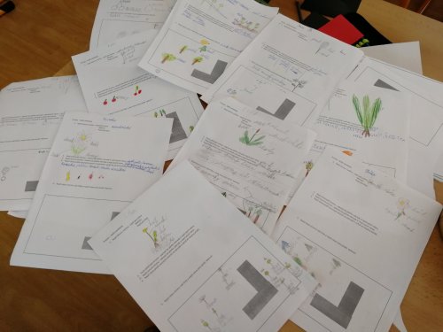 Projektová hodina - NAŠE ZAHRADA