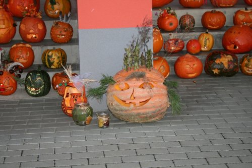 Světluškový průvod