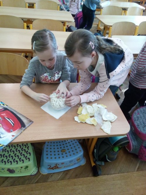 Ochutnávka exotického ovoce