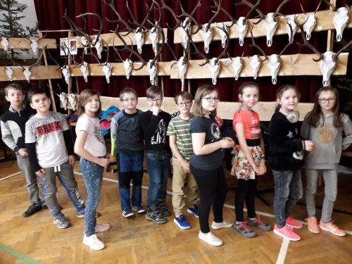 Výstava mysliveckých trofejí