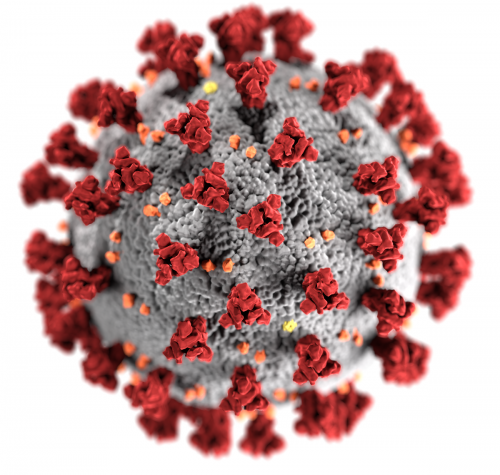 Sdělení ředitele školy k aktuální epidemiologické situaci