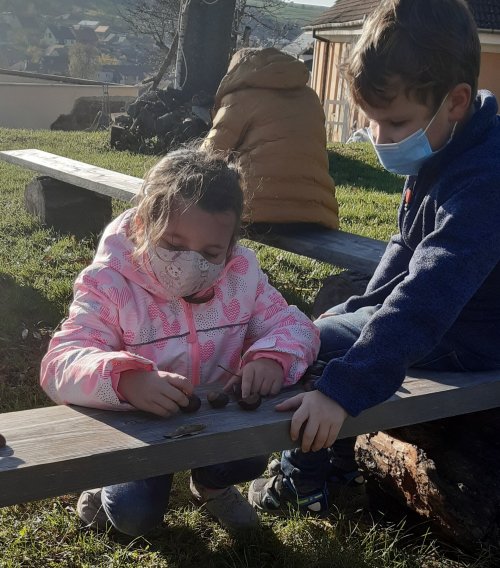 Najdi hezký kaštan...