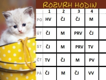 NOVÝ ROZVRH pro prezenční výuku 19. 4. 2021